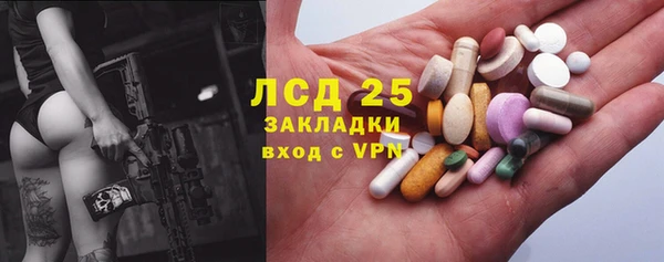 эйфоретик Баксан