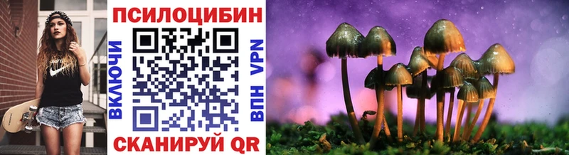 Галлюциногенные грибы мицелий  закладка  Сегежа 